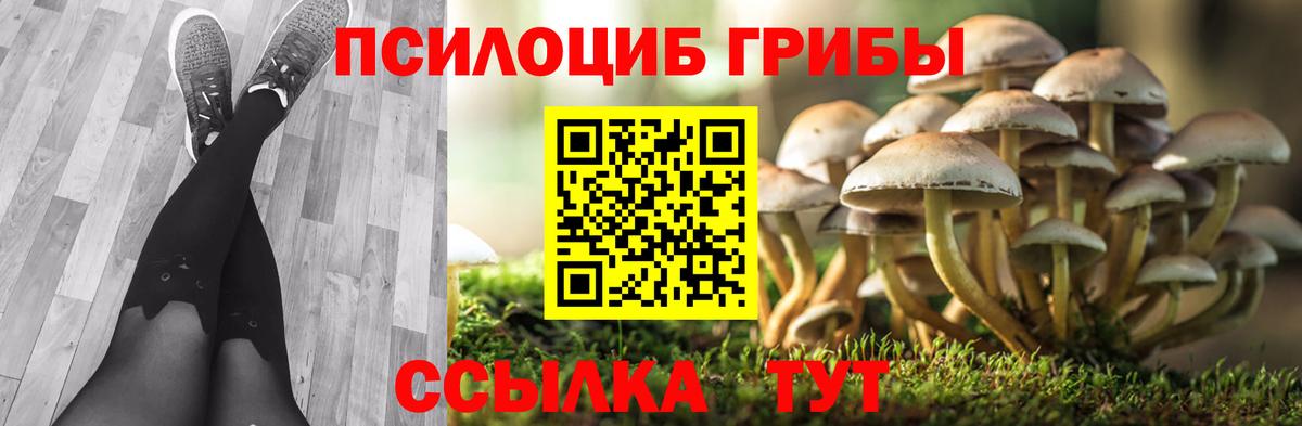 Галлюциногенные грибы прущие грибы Горячий Ключ